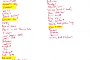 Bonnaroo packing list