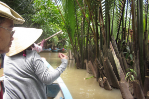 Mekong Delta