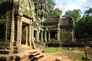 Ta Prohm temple, Angkor, Cambodia