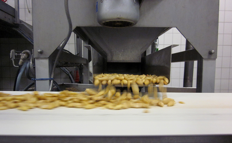 almond-mandeln-factory Almonds (mandeln) in a candy factory