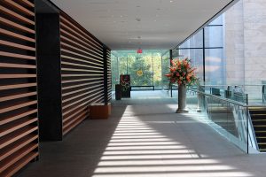 Cleveland museum