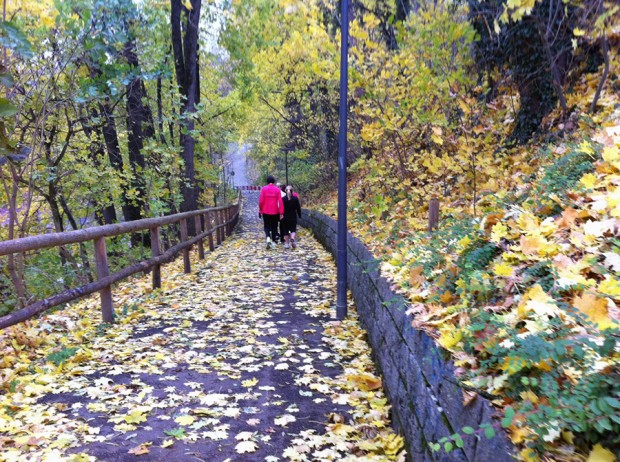 munich Munich running path