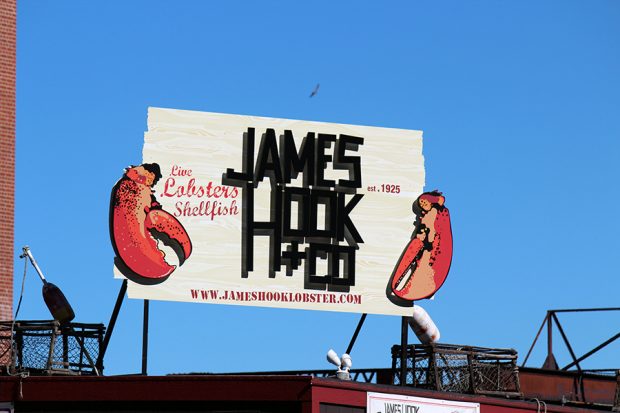 Boston Lobster