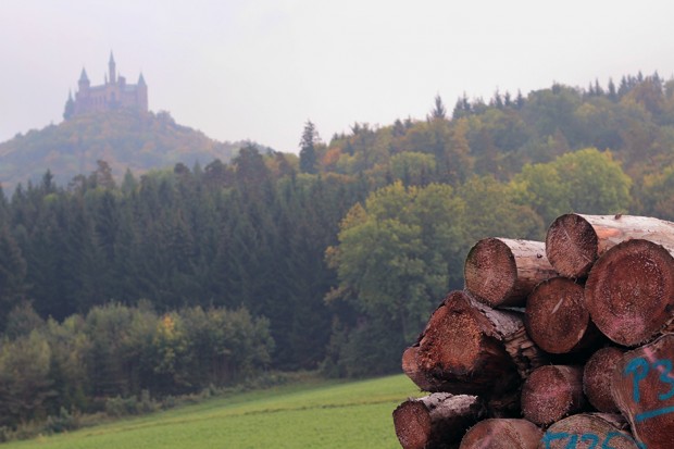 Castles in Germany
