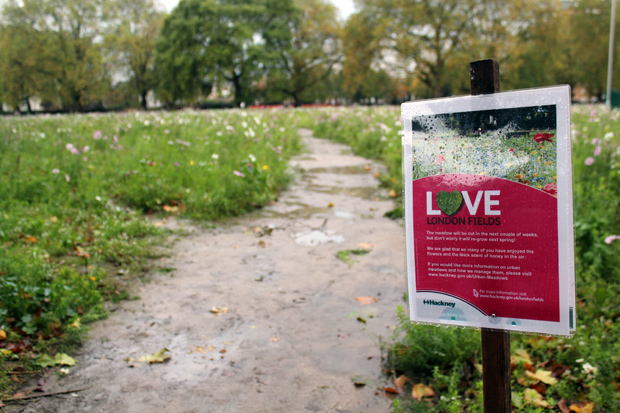 London Fields Park