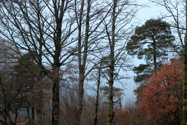 Scotland countryside