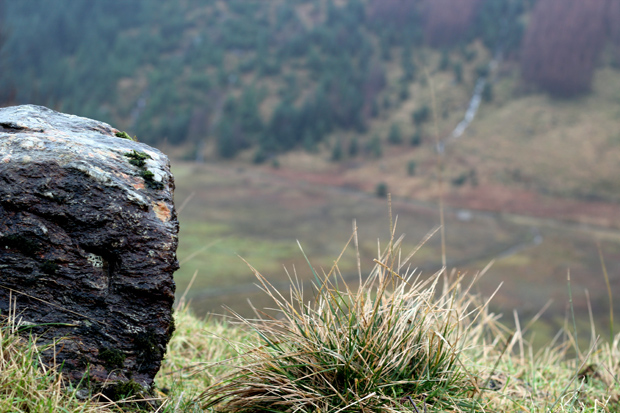 Scotland Glen
