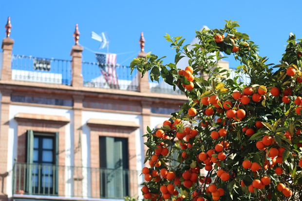 Sunny Seville
