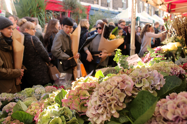 Columbia Road Flower Market