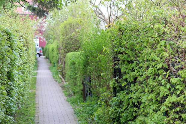 Hufeisensiedlung Britz (Berlin)