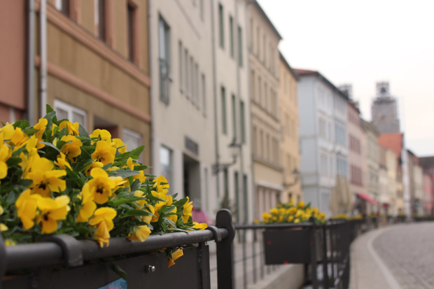 Wittenberg altstadt