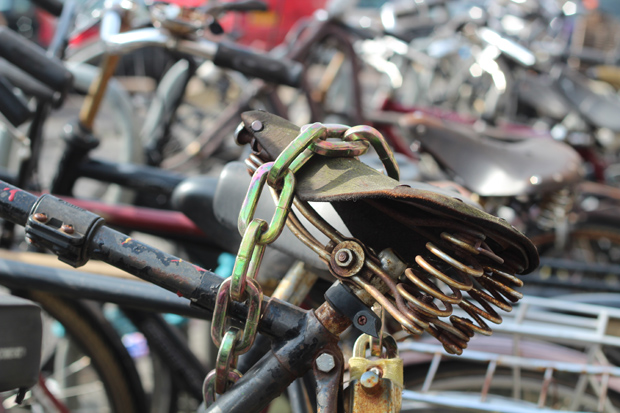 Amsterdam Photo Essay