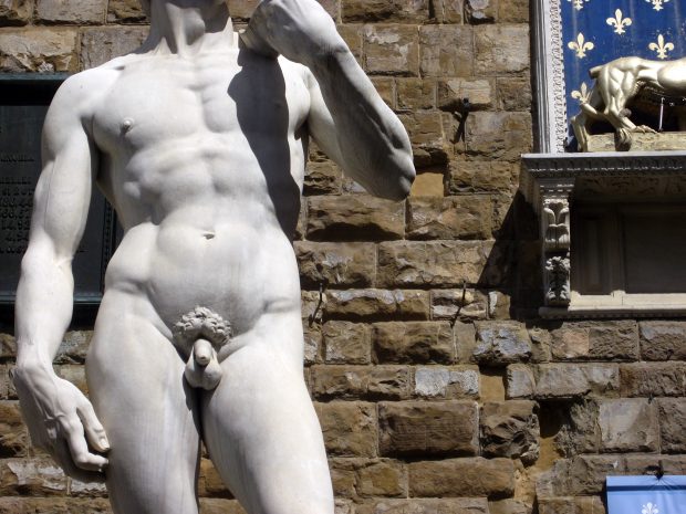 Michelangelo's David