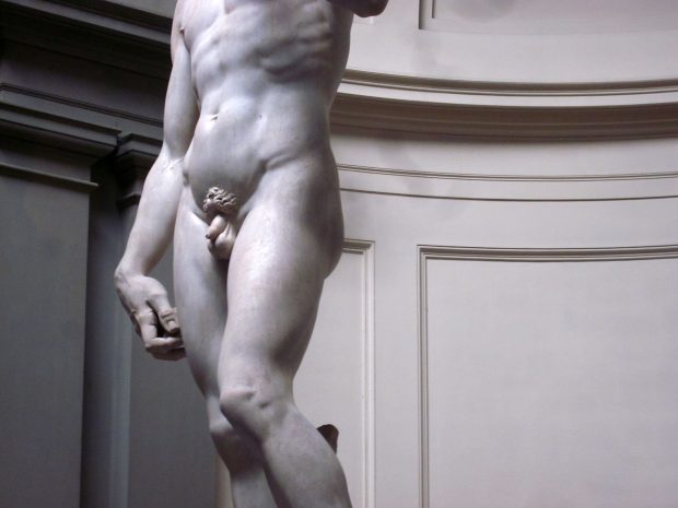 Michelangelo's David