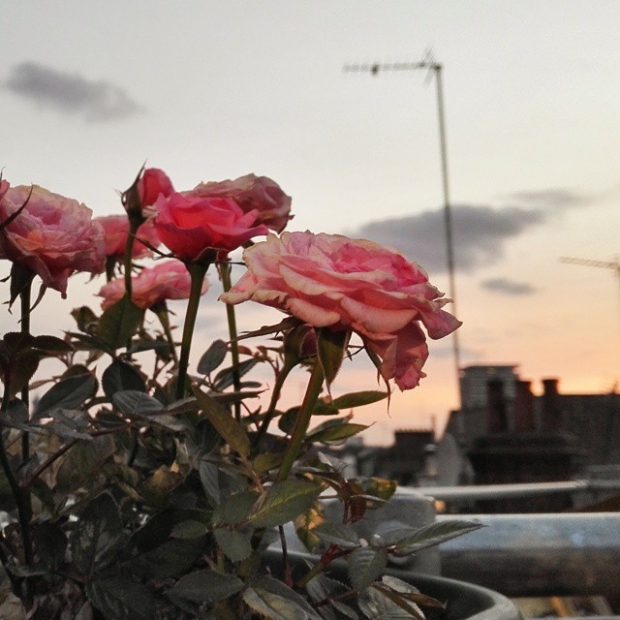 london soho sunset