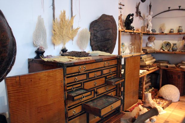 Rembrandt House Museum