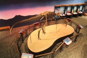 Burpee Museum