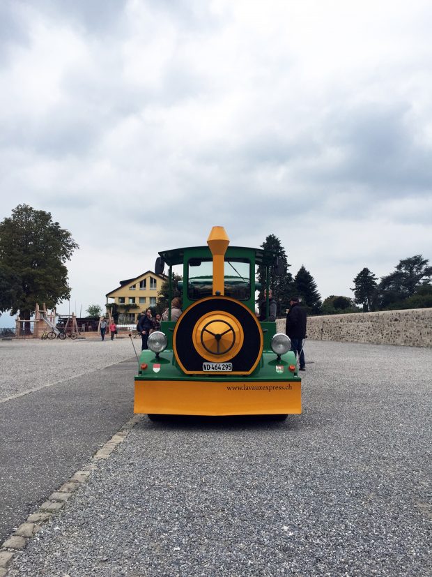 Lavaux Express Train
