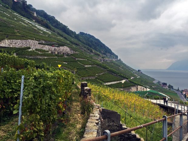 Lavaux Vineyards - UNESCO World Heritage Site