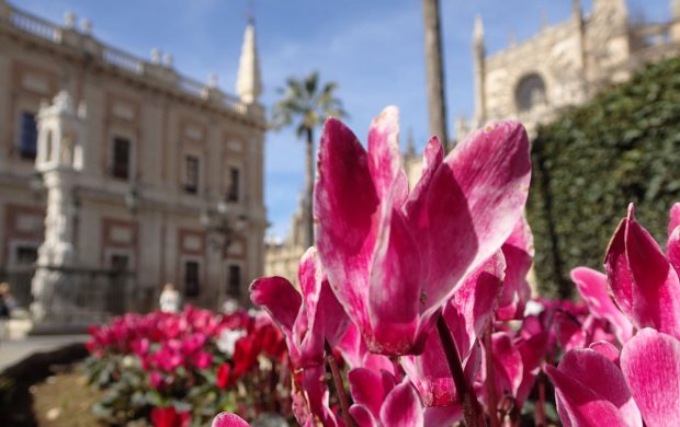 Seville is one of Spain's prettiest cities, with hot hot summers and warm winters
