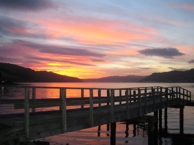 Dunedin, New Zealand