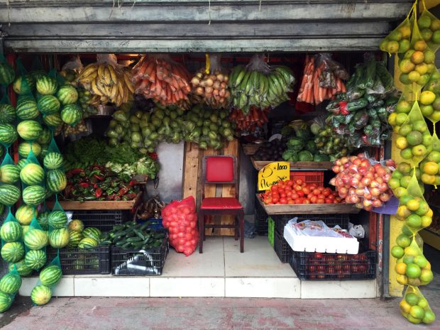 tropical-fruits-costa-rica-san-jose