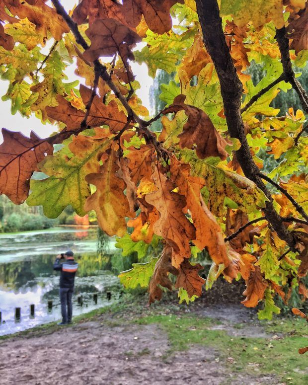 Berlin in One Day - What To See & Do - https://travelsofadam.com/2016/10/24-hours-berlin/