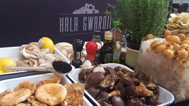 hala gawardii warsaw food market hipster