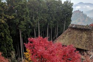 The Best of Autumn in Japan – Travels of Adam - https://travelsofadam.com/2017/12/autumn-in-japan/