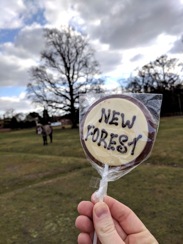 New Forest Walks