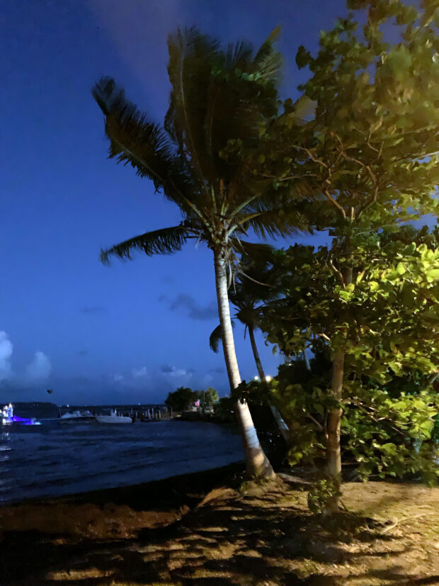 bioluminscent bay in puerto rico