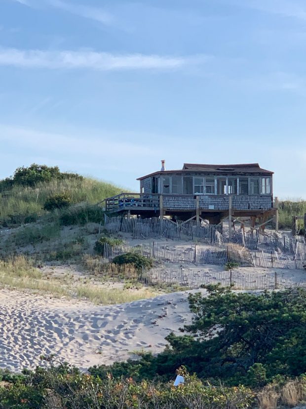 The Provincetown sand dunes